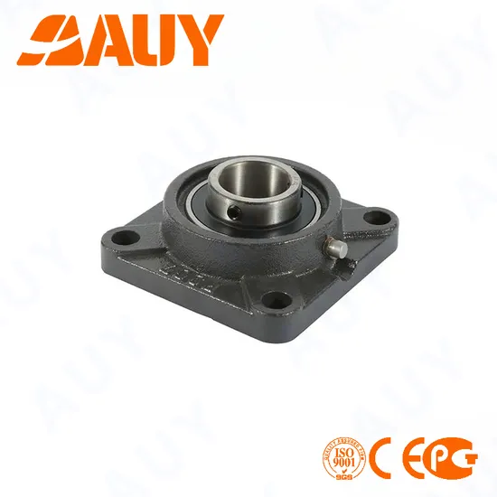 Auy-OEM-Hot-Sale-F4bc-107-Cpss-Dfh-107-Cpss-Dfh-Fy-20-Tr-Fy-65-TF-Cast-Iron-Housing-Pillow-Block-Bearing