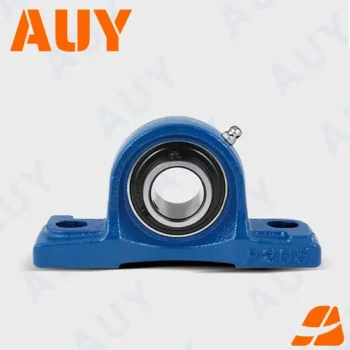 Auy OEM P2BTC 100-TPZM Stainless Pillow Block Bearing High Load Capacity