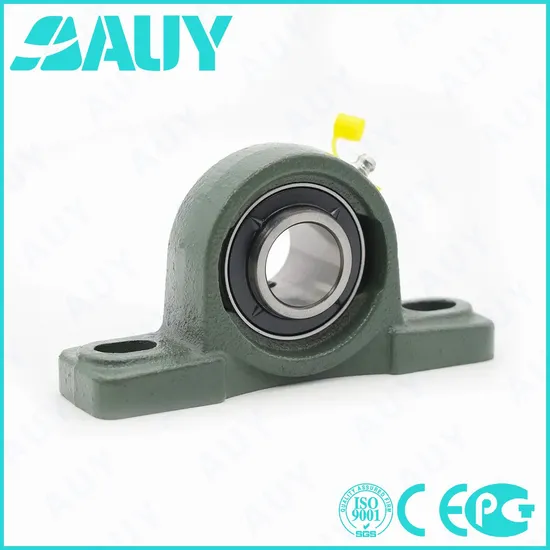 Auy-OEM-New-Technology-P2bm-112-TF-Ah-112-TF-Ah-Syj-55-Kf-UCP-210-H-Cast-Iron-Housings-Pillow-Block-Bearing
