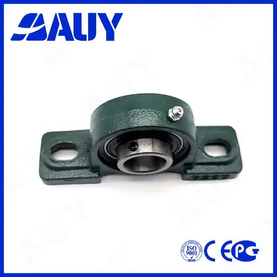 Auy-OEM-ODM-P2bc-015-Tpzm-015-Tpzm-P2bl-112-FM-112-FM-P2bl-112-RM-112-RM-Short-Base-Pillow-Block-Ball-Bearing-Unit-Pillow-Block-Bearing