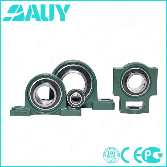 Auy-Rust-Prevention-Existing-Goods-P2bss-104s-Tpss-104s-Tpss-Syj-90-TF-Syj-50-Kf-Cast-Iron-Housing-Pillow-Block-Bearing