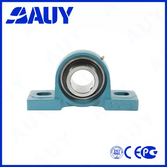 Auy P2BTC 100-TPSS 112-FM UCPA209/H High-Precision Insert Bearings