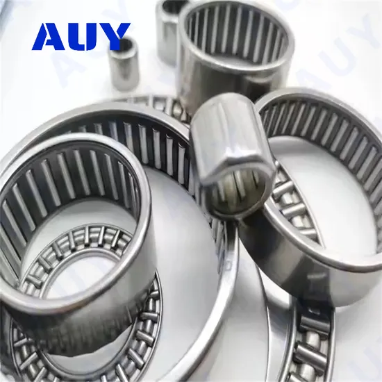 Auy-Spot-Supply-High-Satisfaction-Nk-29-20-Tn-Nk-37-30-Nk-18-16-Needle-Roller-Bearing