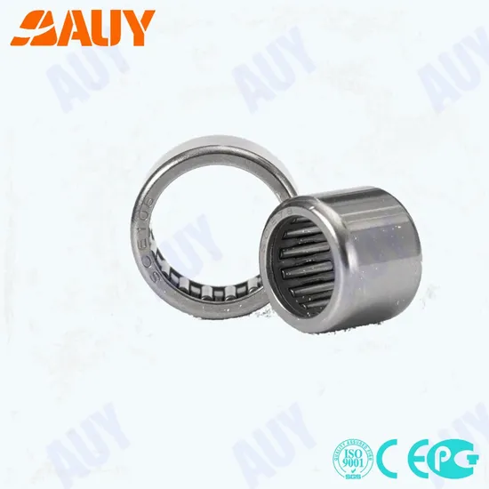 Auy-Spot-Supply-New-Technology-5901-Nkia-Nkib-Nkxr-25-Z-Nx-7-Tn-Ztn-Needle-Roller-Bearing