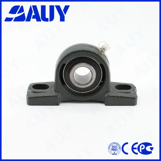 Auy-Spot-Supply-New-Technology-P2btc-015-Tpzm-015-Tpzm-P2bm-103-TF-103-TF-P2bt-102-FM-102-FM-Bearing-Housing-Pillow-Block-Bearing