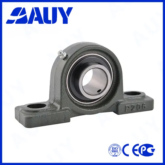 Auy-Spot-Supply-Top-Level-P2bc-106-Cpss-Dfh-106-Cpss-Dfh-Sy-40-Lf-Ucpa-208-UCP208-Pillow-Block-Bearing