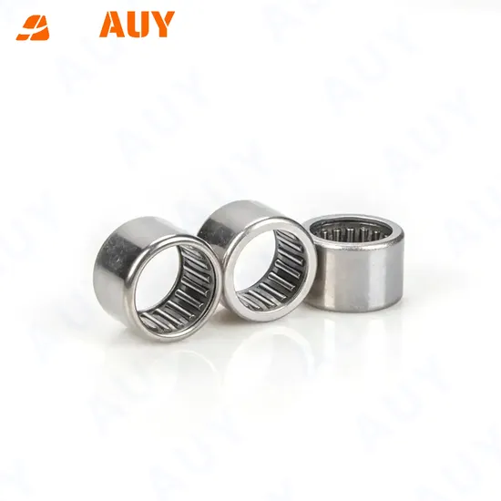 Auy-Top-Level-High-Precision-K-20X24X13-Bk-2018-RS-HK-1814-RS-Needle-Roller-Bearing
