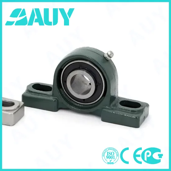 Auy-Top-Level-High-Strength-P2btss-100-Cpss-Dfh-100-Cpss-Dfh-Ucpx10-Ucpx09-Manufacturer-Bearings-Pillow-Block-Bearing