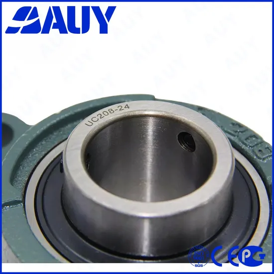 Auy-Top-Level-OEM-P2bss-30m-Cpss-Dfh-30m-Cpss-Dfh-UCP-217-UCP-317-Housing-Bearing-Pillow-Block-Bearing