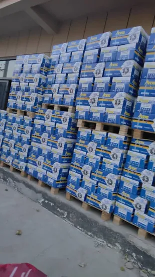 Bearing-Factory-Auto-Parts-Motorcycle-Spare-Part-NTN-NSK-NACHI-Koyo-6301-6004-6203-6202-6204