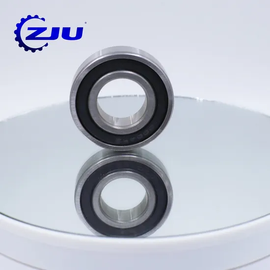 Bonus-Item-Deep-Groove-Ball-Bearings-8X16X5mm-688-Mr74zz-6201-6202-6203-6204-6205-6206-Zz-2RS-6210-6211-6212-Zv2