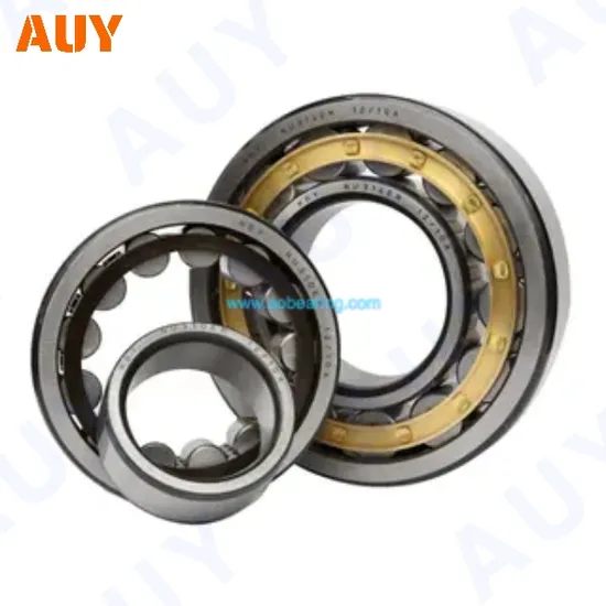 Casting-Machinery-Anti-Corrosion-Nup-2207-Ecp-Nup-2307-Ecp-Nup-307-Ecj-Nup-307-Ecm-Single-Row-Full-Complement-Cylindrical-Roller-Bearings