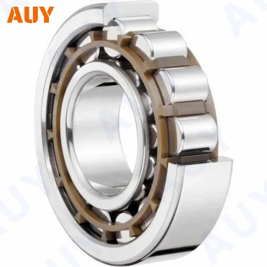 Casting-Machinery-ODM-Nj-2211-Ecml-Nj-2211-Ecp-Nj-2211-Ecph-Nj-2311-Ecml-Single-Row-Cylindrical-Rolling-Bearings