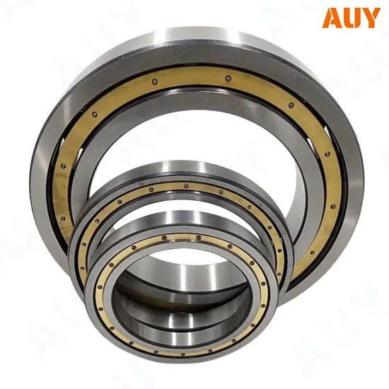 Casting-Machinery-Tillage-Machinery-Rnu-207-Ecp-Rnu-2207-Ecj-Rnu-2207-Ecp-Rnu-307-Ecp-Single-Row-Cylindrical-Roller-Bearings
