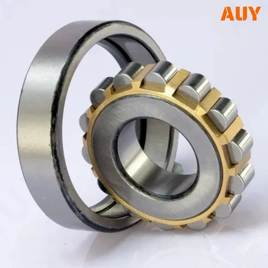 Casting-Machinery-Top-Level-Rnu-1016-Ecm-Rnu-216-Ecp-Rnu-1017-Ma-Rnu-2217-Ecp-Single-Row-Cylindrical-Roller-Bearings