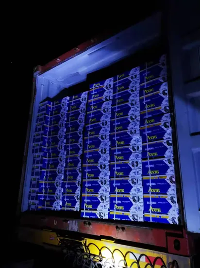 Durable-Deep-Groove-Ball-Bearings-for-Motorcycle-Performance-Accessories-6200-6206