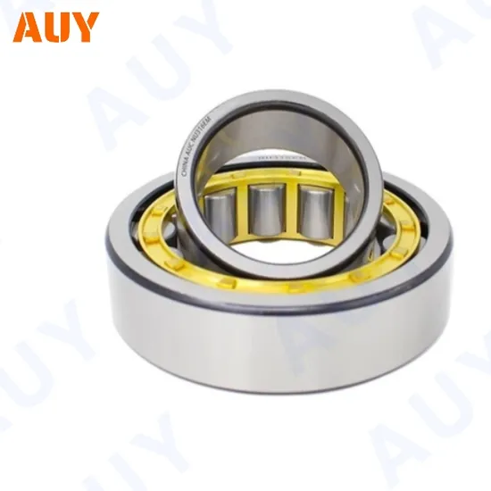 Durable-OEM-Nj-305-Ecp-Nu-1005-Nu-205-Ecml-Nu-205-Ecp-Cylindrical-Roller-Bearings