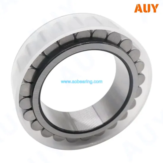 RNU 206 ECP Cylindrical Roller Bearing High Load Capacity Factory Outlet