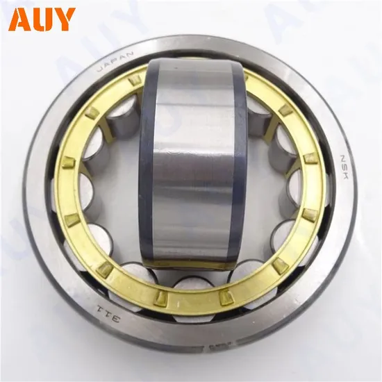 High-Precision NJ2311ECPH, NJ311ECJ Bearings for Industrial Use