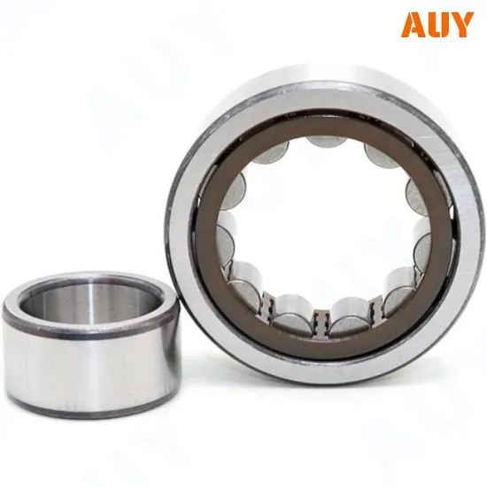 Great-Quality-Rust-Prevention-Nu-12-500-Ma-Nu-19-500-Ma-Nu-20-500-Ecma-Nu-29-500-Ecma-Single-Row-Cylindrical-Rolling-Bearings