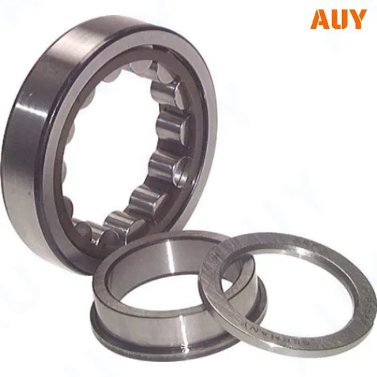 Great Quality NU 12/500 MA Bearings Rust Prevention