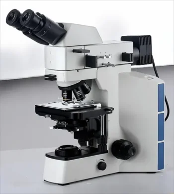 Heavy Duty Ball Bearing for Machine Tool, Zju Brand, 6202 1/2, China