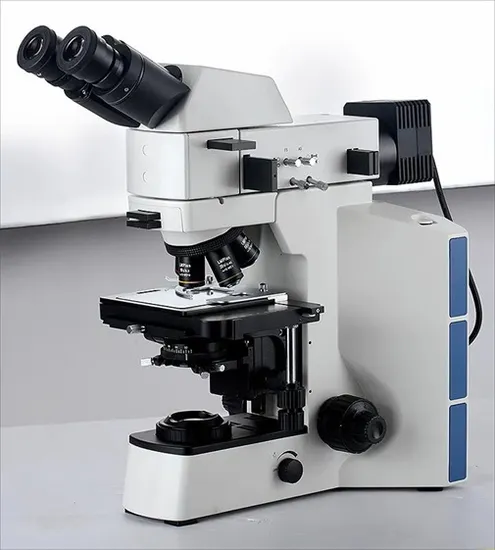 Heavy Duty Ball Bearing for Machine Tool, Zju Brand, 6202 1/2, China