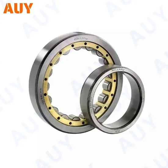 High-Precision-New-Technology-Nu-2309-Ecp-Nu-309-Ecj-Nu-309-Ecm-Nu-309-Ecml-Single-Row-Cylindrical-Rolling-Bearings