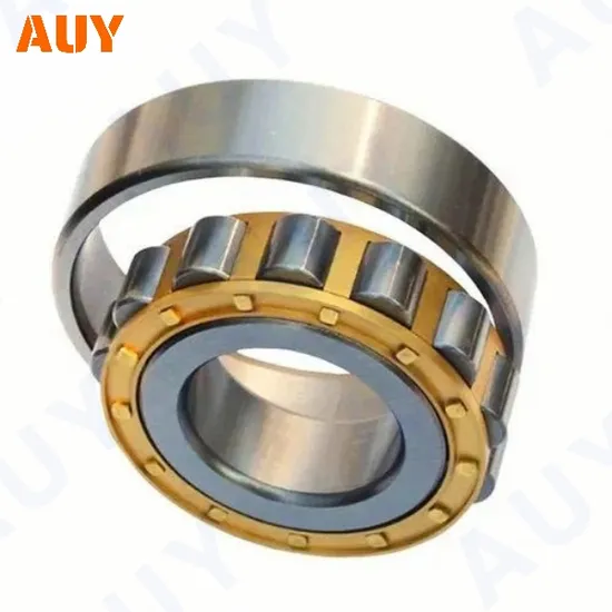 High-Quality-Spot-Supply-N-309-Ecp-Nj-1009-Ecp-Nj-2009-Ecp-Nj-209-Ecj-Single-Row-Cylindrical-Rolling-Bearings