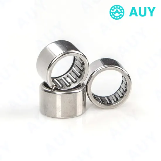 High-Satisfaction-Hot-Sale-Nao-40X55X17-Bk-1010-HK-0912-Needle-Roller-Bearing