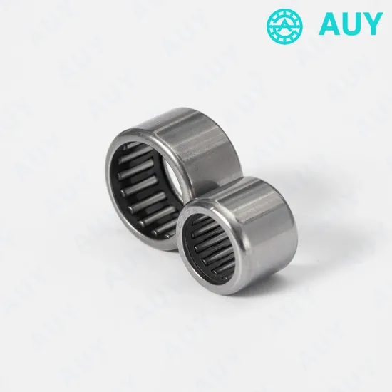 High-Satisfaction-Hot-Sale-Nao-40X55X17-Bk-1010-HK-0912-Needle-Roller-Bearing