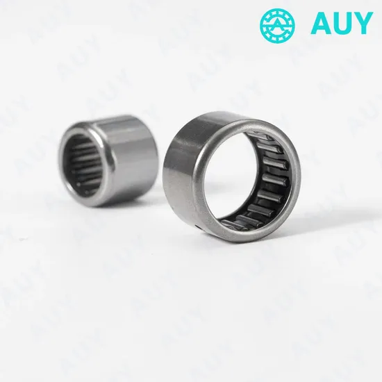 High-Satisfaction-OEM-Rna-4903-2RS-Na-6907-Na-4920-Needle-Roller-Bearing