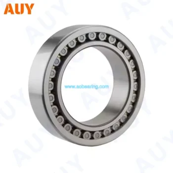 Nu 310 ECP High-Speed Cylindrical Bearings, Factory Price