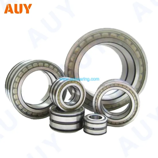 Hot-Sale-High-Speed-Nj-2209-Ecp-Nj-2209-Ecph-Nj-2309-Ecml-Nj-2309-Ecp-Single-Row-Cylindrical-Rolling-Bearings