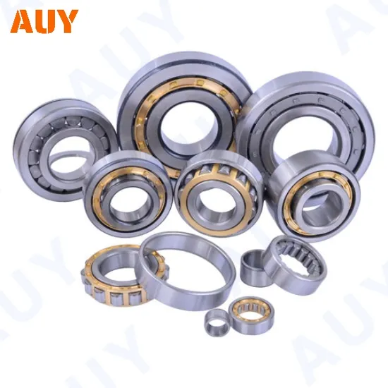 Hot-Sale-Manufacturing-Machinery-Nu-1011-Ecp-Nu-211-Ecj-Nu-211-Ecm-Nu-211-Ecml-Single-Row-Cylindrical-Rolling-Bearings