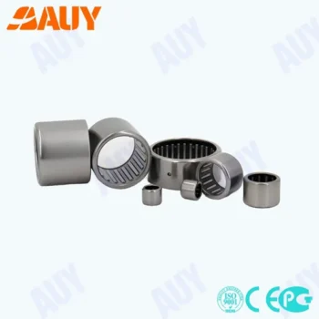 Hot Sale K 155X163X26 BK 2520 NA 4909 Rust-Proof Needle Bearing