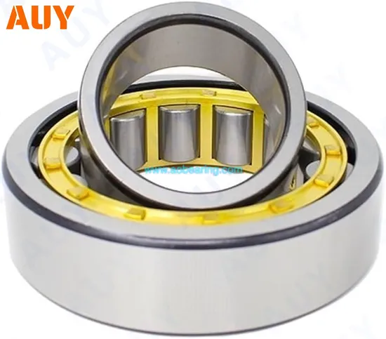Industry-Leading-Top-Level-Nu-307-Ecph-Nup-207-Ecj-Nup-207-Ecm-Nup-207-Ecml-Single-Row-Full-Complement-Cylindrical-Roller-Bearings