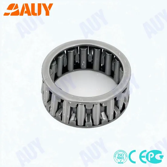Inexpensive-Industry-Leading-Nao-20X37X16-HK-2216-HK-2212-Needle-Roller-Bearing