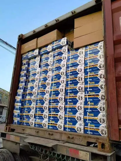 Koyo-Bearing-Bearing-Manufacturer-Auto-Parts-Bearing-Factory-Motorcycle-Spare-Part-NTN-Bearing-NSK-Bearing-NACHI-Bearing-Zv1-Zv2-Zv3-Zv4-6206-6207-6208-6209-628