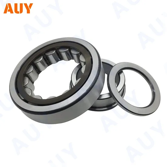 Koyo-Customized-Mixing-Machinery-Nup-306-Ecnj-Nup-306-Ecp-N-207-Ecm-N-207-Ecp-Single-Row-Cylindrical-Roller-Bearings