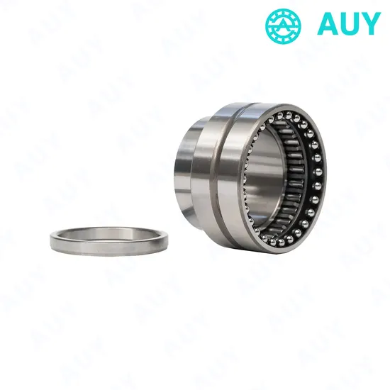 Mining-Machinery-Industry-Leading-Nki-40-30-Tn-HK-0608-Bk-0609-Needle-Roller-Bearing