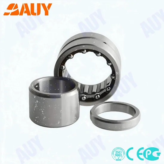 Needle Roller Bearing RNA 4905.2RS BK1015 BK1012 High Load Capacity