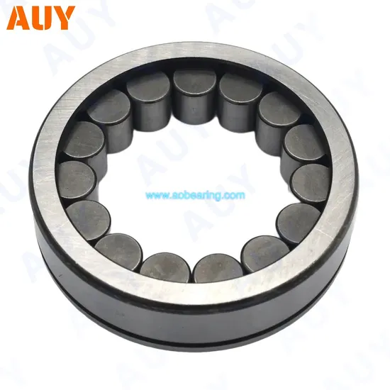 Mixing-Machinery-Mining-Machinery-Nu-2307-Ecph-Nu-307-Ecj-Nu-307-Ecm-Nu-307-Ecml-Single-Row-Cylindrical-Roller-Bearings