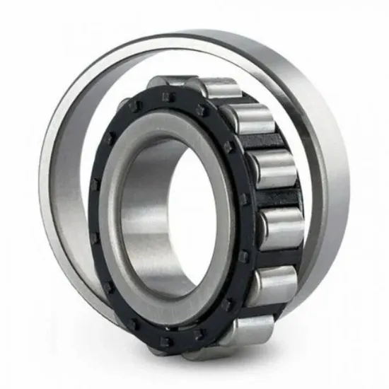 NSK-Anti-Corrosion-Manufacturing-Machinery-N-204-Ecp-N-304-Ecp-Nj-204-Ecml-Nj-204-Ecp-Single-Row-Cylindrical-Roller-Bearings