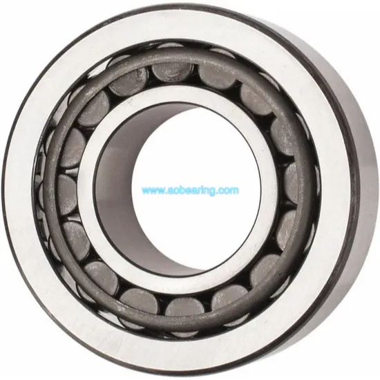 NSK-Koyo-Factory-Outlet-High-Speed-Nu-203-Ecpha-Nu-2203-Ecp-Nu-303-Ecp-Nup-203-Ecp-Single-Row-Full-Complement-Cylindrical-Roller-Bearings