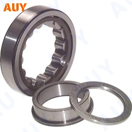 NTN-Mixing-Machinery-ODM-Nj-2205-Ecp-Nj-2305-Ecml-Nj-2305-Ecp-Nj-305-Ecj-Cylindrical-Roller-Bearings