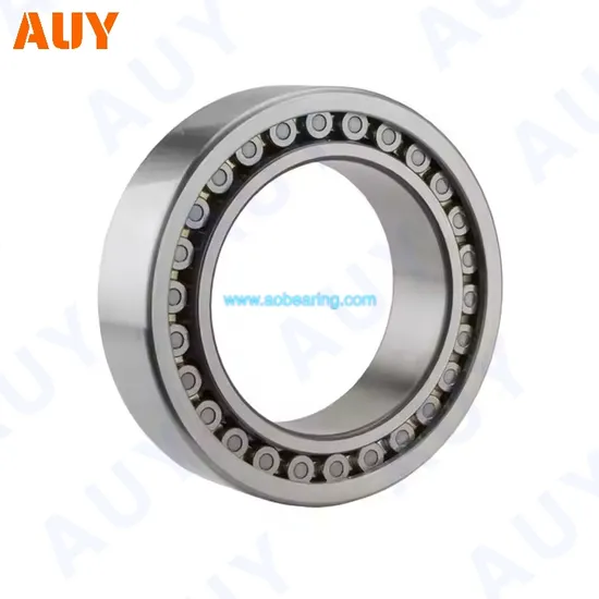 Nu 2310 ECP Cylindrical Bearing High Load Capacity New Technology