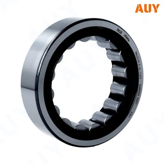 ODM-Mining-Machinery-Nu-20-630-Ecma-Nu-29-630-Ecma-Hb1-315837-316012-Single-Row-Full-Complement-Cylindrical-Roller-Bearings