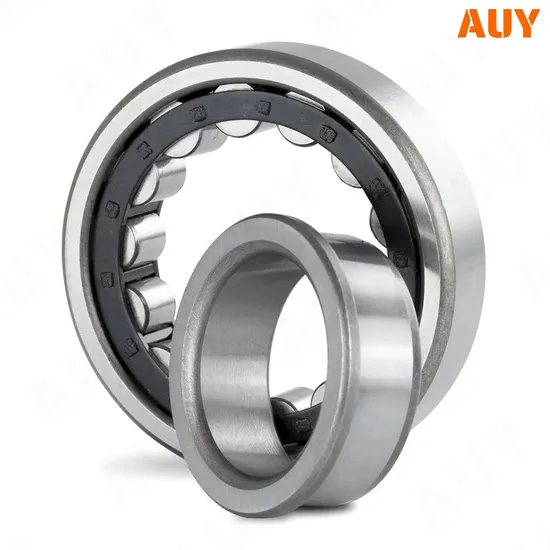 OEM-High-Precision-Rnu-220-Ecp-Rnu-2319-Ecml-Rnu-1024-Ml-Rnu-226-Ecm-Single-Row-Full-Complement-Cylindrical-Roller-Bearings