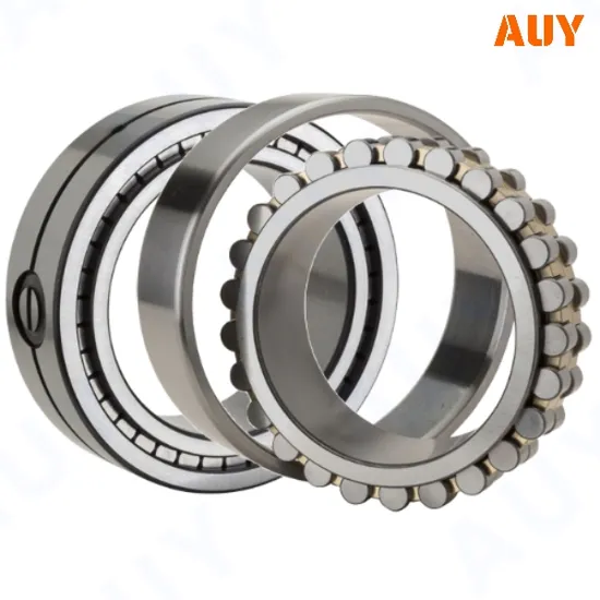 OEM-High-Precision-Rnu-220-Ecp-Rnu-2319-Ecml-Rnu-1024-Ml-Rnu-226-Ecm-Single-Row-Full-Complement-Cylindrical-Roller-Bearings